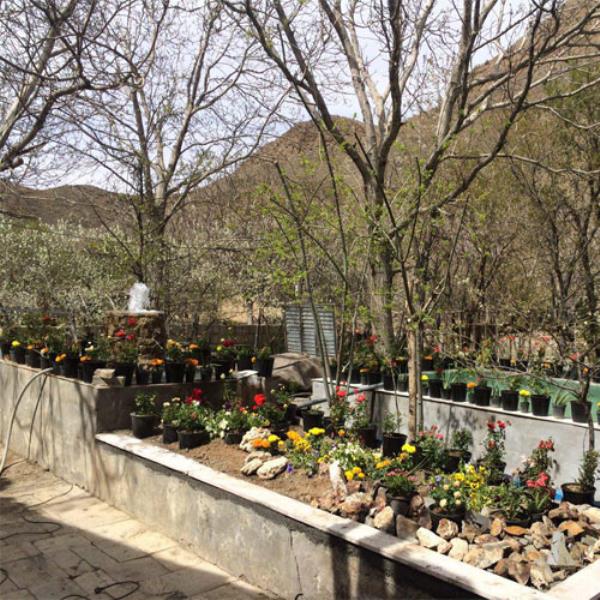 فضای بیرونی شرکت