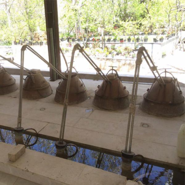 فضای داخلی شرکت