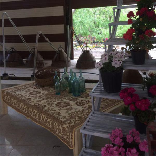 فضای داخلی شرکت