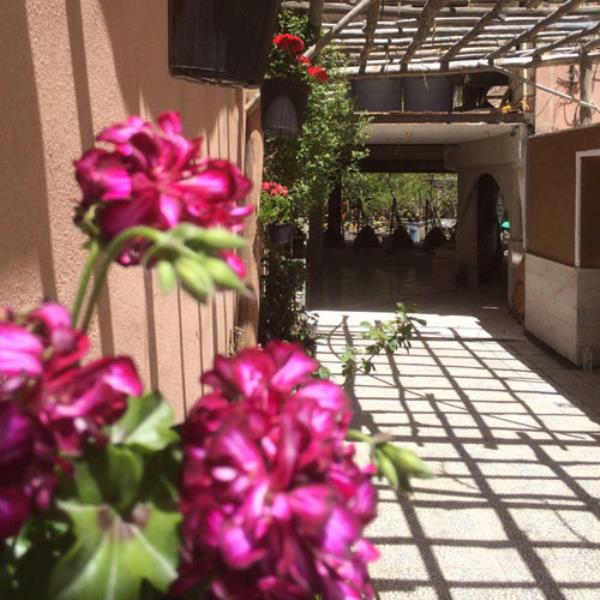 فضای بیرونی شرکت