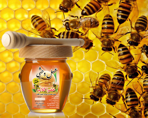 عسل,بهترین عسل,عسل خوب,عسل وحشی,عسل کاشان,خضرا گلاب,گلاب خضرا