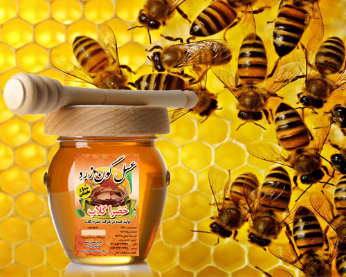 عسل,بهترین عسل,عسل خوب,عسل گون زرد,عسل کاشان,خضرا گلاب,گلاب خضرا