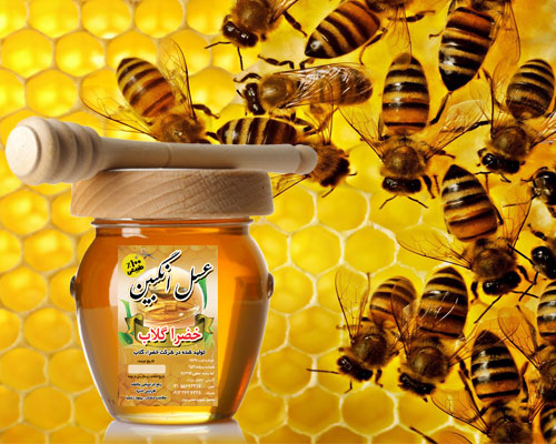 عسل,بهترین عسل,عسل خوب,عسل انگبین,عسل کاشان,خضرا گلاب,گلاب خضرا