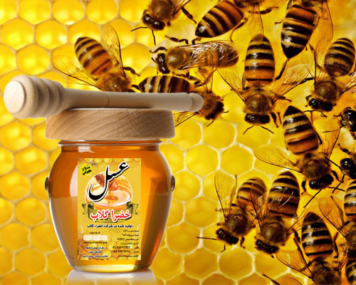 عسل,بهترین عسل,عسل خوب,ضرا گلاب,,گلاب خضرا