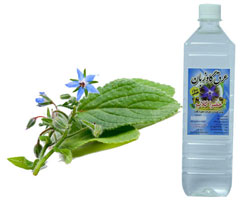 عرق گاوزبان