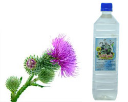 عرق باباآدم