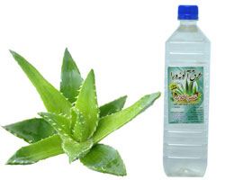 عرق آلوئه ورا