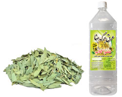 عرق برگ سنا